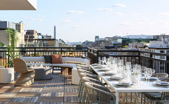 Lady Bird THE Roof Top